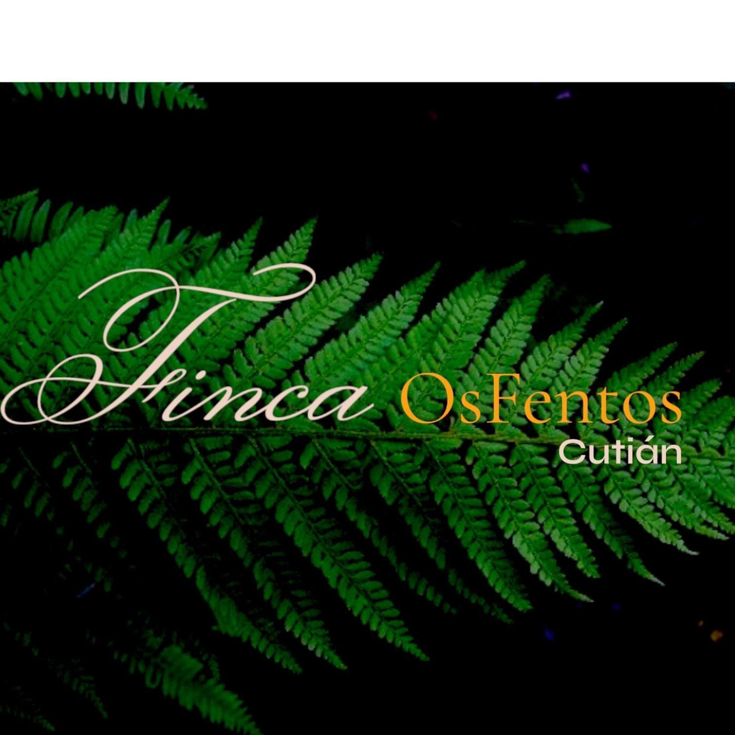 Os Fentos Bed and Breakfast Pontevedra Exteriör bild